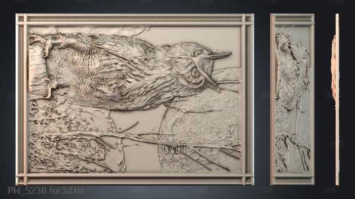 PH_5238 3d stl for CNC