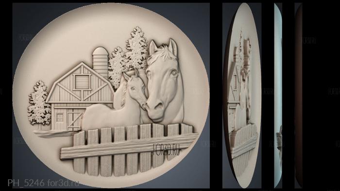 PH_5246 3d stl for CNC