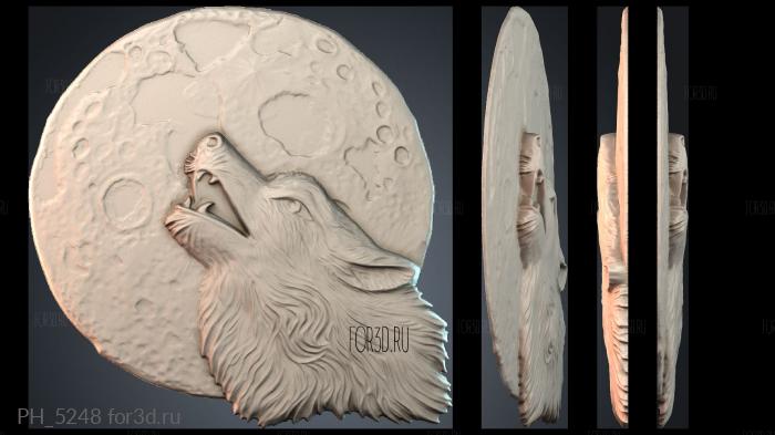 PH_5248 3d stl for CNC