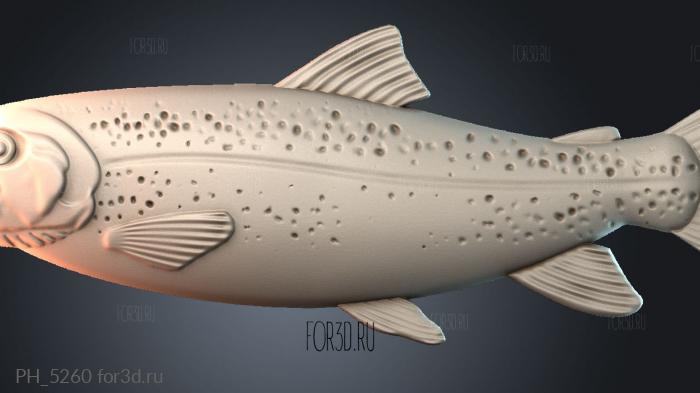 PH_5260 3d stl for CNC