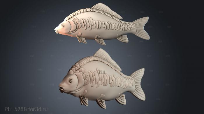 PH_5288 3d stl for CNC