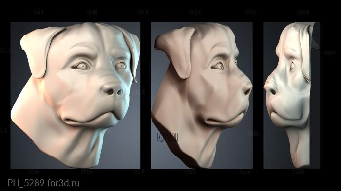 PH_5289 3d stl for CNC