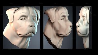 PH_5289 stl model for CNC