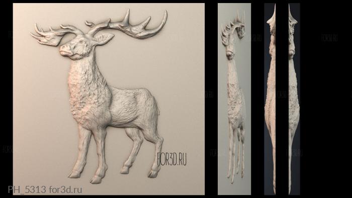 PH_5313 3d stl for CNC