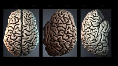 PH_5368 stl model for CNC