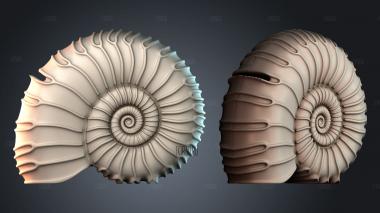 PH_5402 stl model for CNC