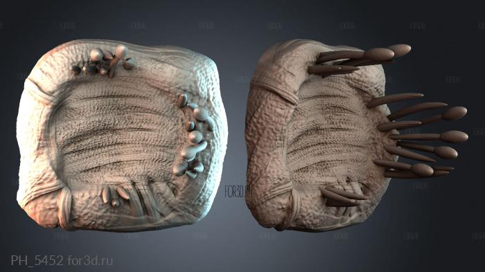 PH_5452 3d stl for CNC