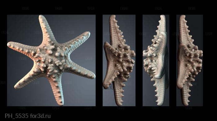 PH_5535 3d stl for CNC