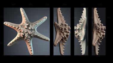 PH_5535 stl model for CNC