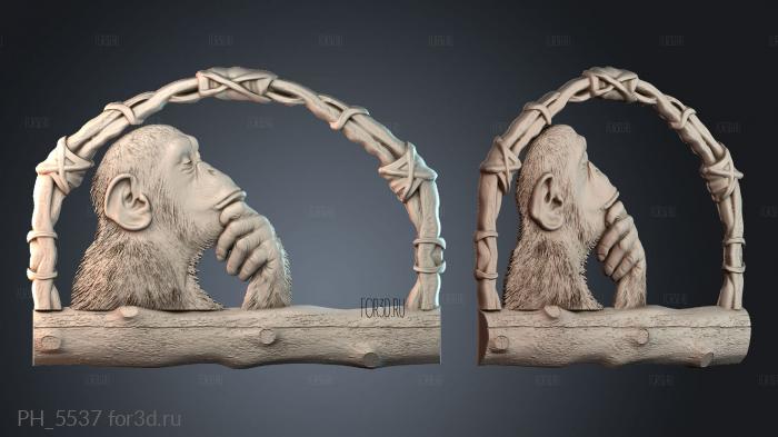 PH_5537 3d stl for CNC