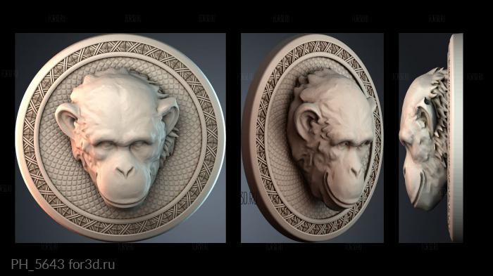 PH_5643 3d stl for CNC