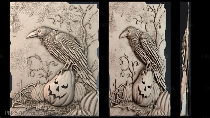 PH_5701 3d stl for CNC