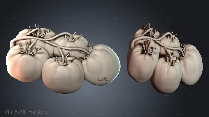 PH_5790 3d stl for CNC