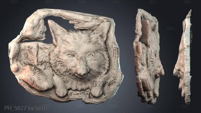 PH_5827 3d stl for CNC