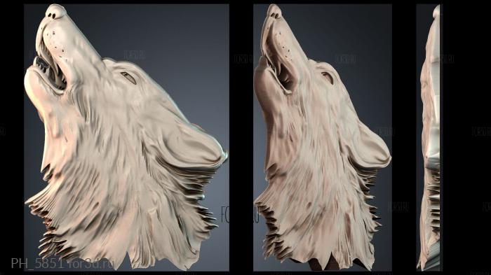 PH_5851 3d stl for CNC