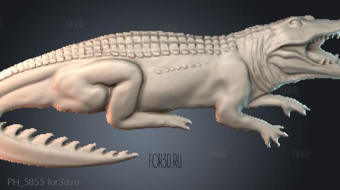 PH_5855 3d stl for CNC