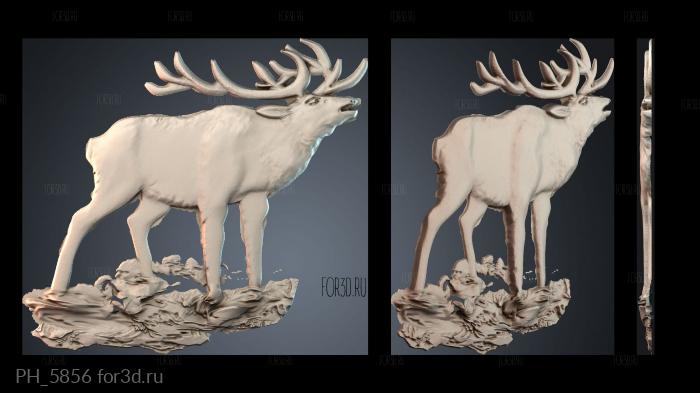 PH_5856 3d stl for CNC