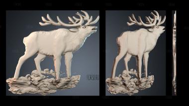 PH_5856 stl model for CNC