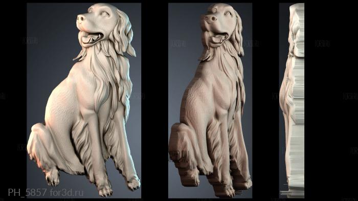 PH_5857 3d stl for CNC