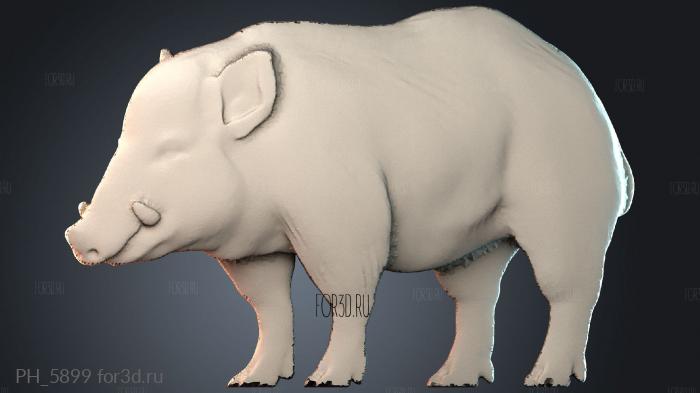 PH_5899 3d stl for CNC