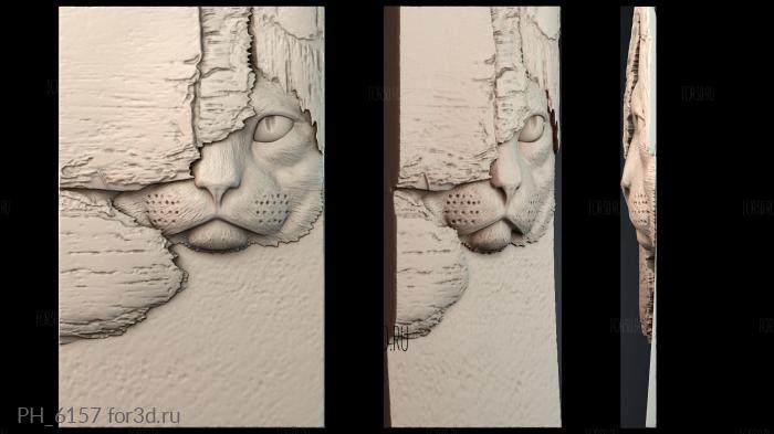 PH_6157 3d stl for CNC