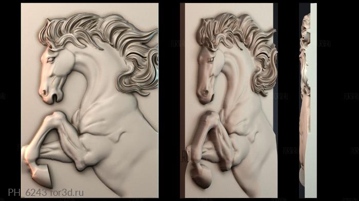 PH_6243 3d stl for CNC