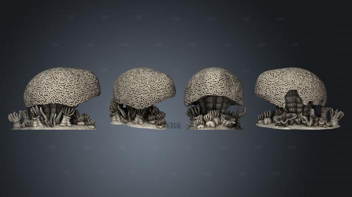 Brain and Branched Corals Coral B stl model for CNC