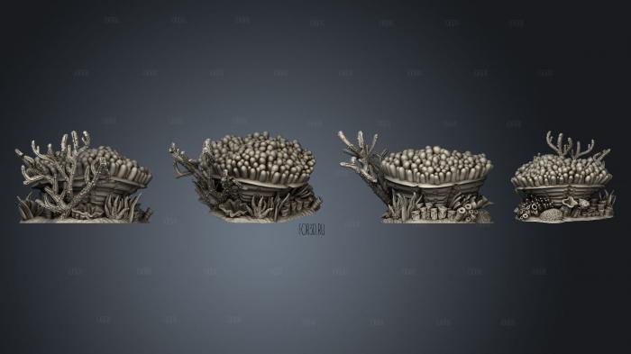 Brain and Branched Corals Fish Anemone stl model for CNC