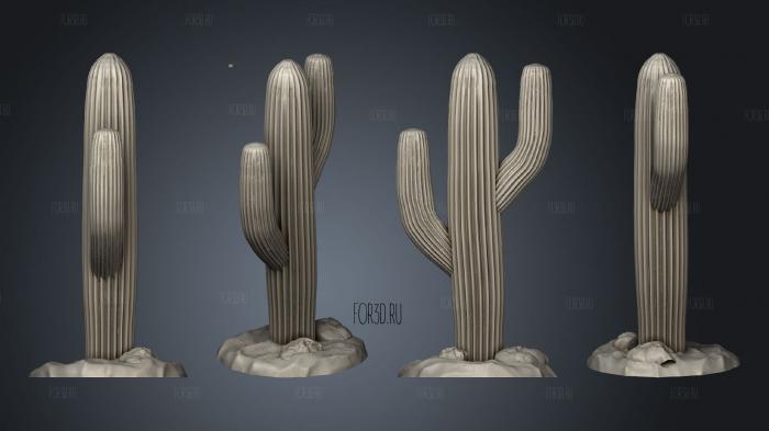 DESERT Cactus 1 004 stl model for CNC
