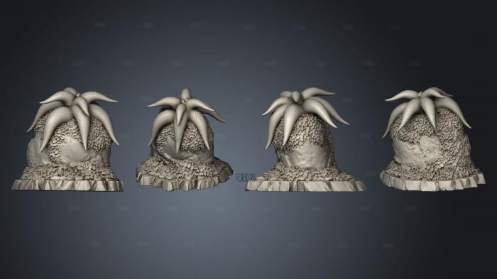 Mysterious Starfish Flowers 4 3d stl модель для ЧПУ