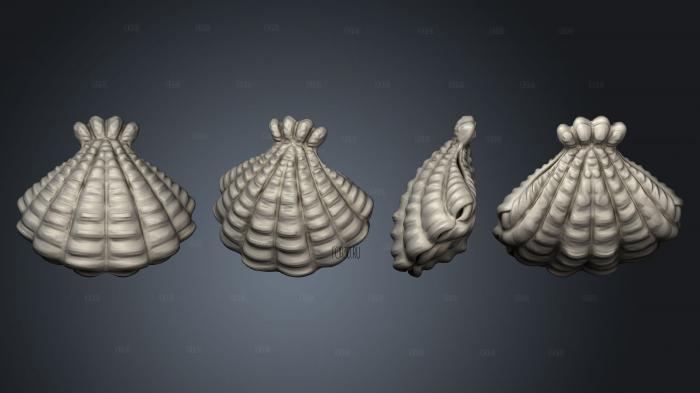 ocean giant clam stl model for CNC