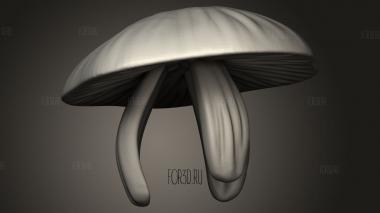 Верхушка грибной лягушки 3d stl модель для ЧПУ