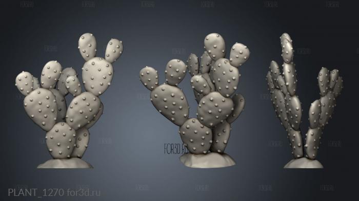 CACTUS AUG stl model for CNC