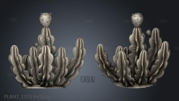 Cactuses Small stl model for CNC