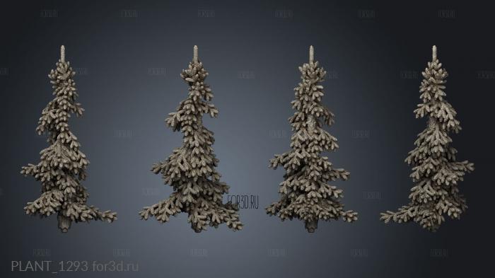 Conifers Spruce Modular Forest stl model for CNC