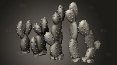 Пружина Для Настройки Кактуса с Заячьим Ухом 3d stl модель для ЧПУ