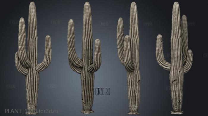 Saguaro Cactus Feature stl model for CNC