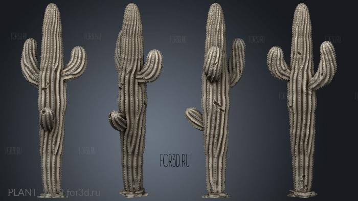 Saguaro Cactus Feature stl model for CNC