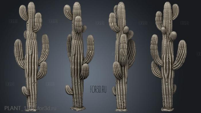 Saguaro Cactus Feature stl model for CNC