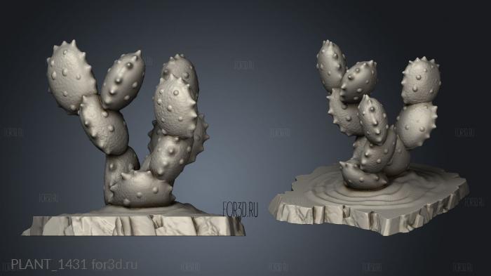 Plant Egyptian Cactuses stl model for CNC