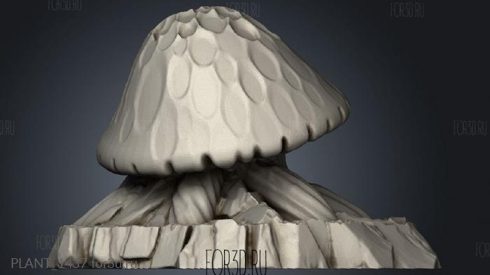 Plant Giant Mushrooms stl model for CNC