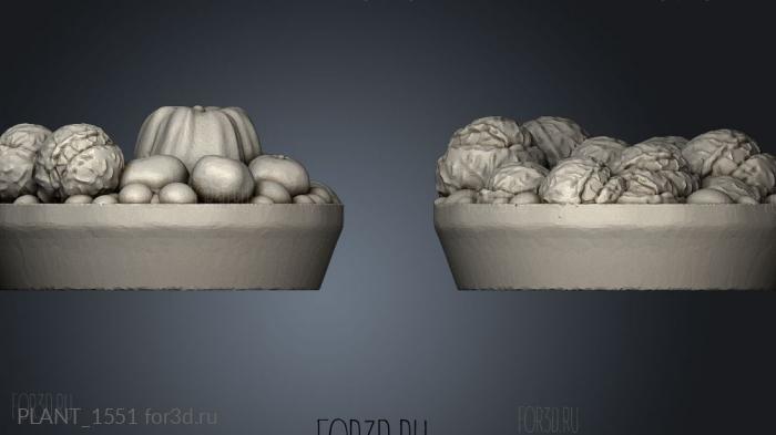 PLANT_1551 stl model for CNC