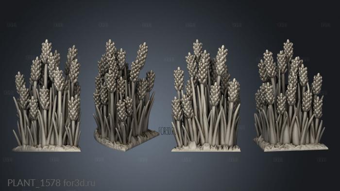 PLANT_1578 stl model for CNC