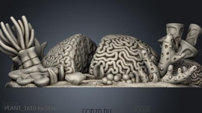 Ocean Terrain Core Big Brain Coral stl model for CNC