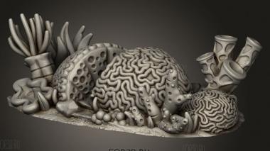 Ядро Океанического Ландшафта Большой Мозговой Коралл 3d stl модель для ЧПУ