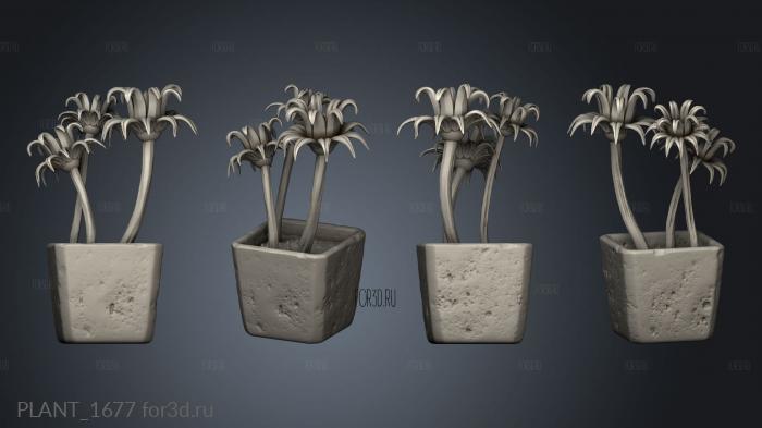 PLANT_1677 stl model for CNC