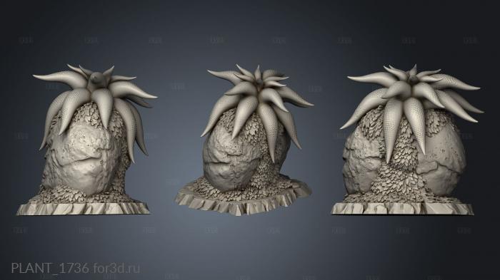 PLANT_1736 stl model for CNC