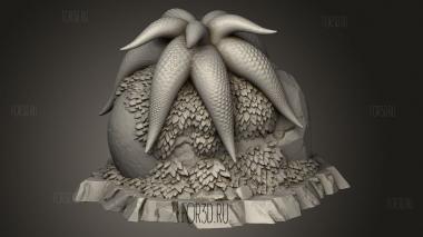Ядро Загадочной Морской Звезды 3d stl модель для ЧПУ