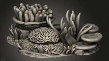 Ядро Океанического рельефа Разное Риф 3d stl модель для ЧПУ