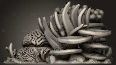 Ядро Океанического рельефа Разное Риф 3d stl модель для ЧПУ